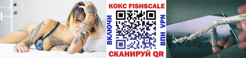 где найти   Заволжск  КОКАИН Fish Scale 