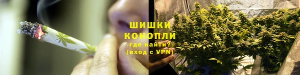 молекула духа Горнозаводск
