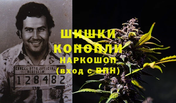 хмурый Горняк