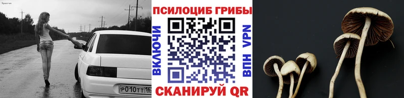 Галлюциногенные грибы Cubensis  купить закладку  Заволжск 