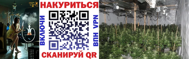 Бошки марихуана конопля  Заволжск 